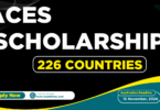 ACES Scholarship For International Student 2024