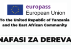 Driver Jobs at European Union Delegation to Tanzania