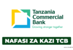 TCB Bank Tanzania Hiring Director of Internal Audit