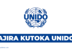 UNIDO Vacancies Tanzania