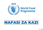 WFP Tanzania Hiring Programme Policy Officer - FtMA Deputy Coordinator