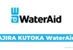 WaterAid Tanzania Hiring Head of Programs